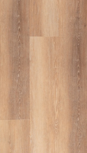 [CAT-TFD-FLOORTILE-NATURE-109-8] Nature 109-8