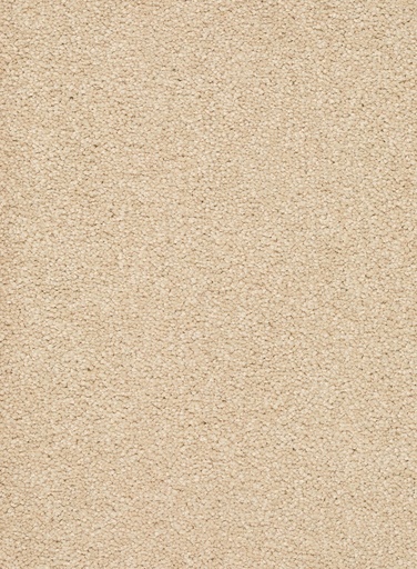 [TEPALAMO4_003] Trend 026 Tapijt ALAMO 400 cm Kleur 03 x 400,0