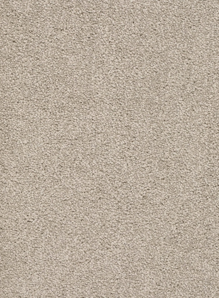 Trend 026 Tapijt ALAMO 400 cm Kleur 05 x 400,0