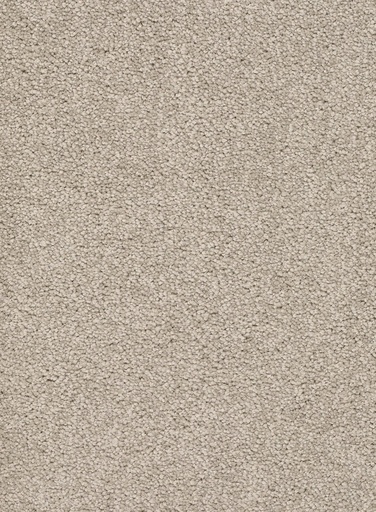 [TEPALAMO4_005] Trend 026 Tapijt ALAMO 400 cm Kleur 05 x 400,0