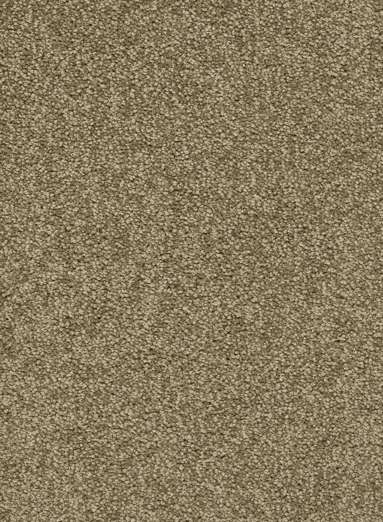 Trend 026 Tapijt ALAMO 400 cm Kleur 24 x 400,0