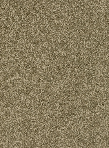 [TEPALAMO4_024] Trend 026 Tapijt ALAMO 400 cm Kleur 24 x 400,0