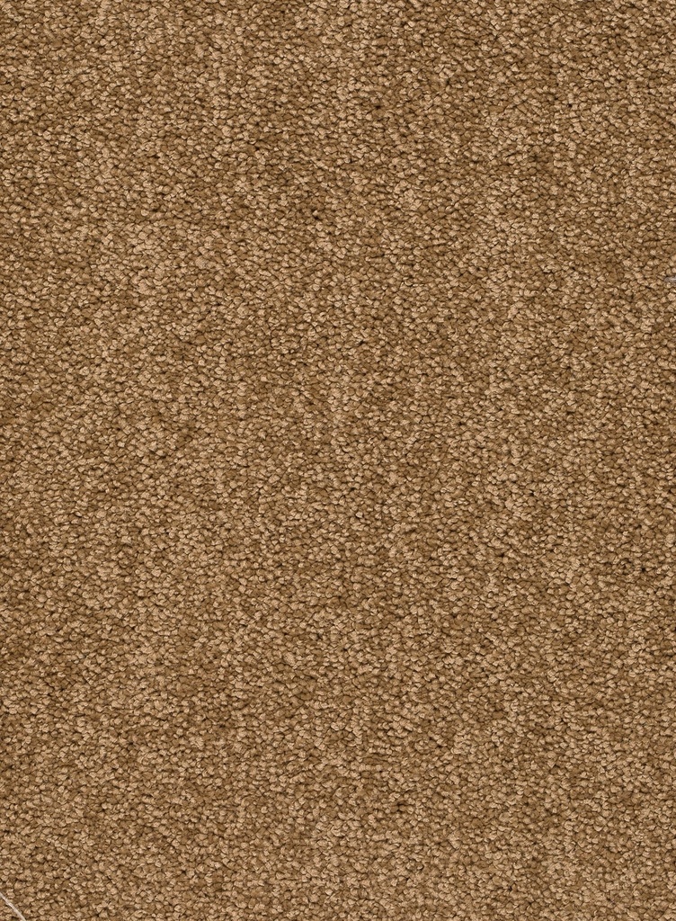 Trend 026 Tapijt ALAMO 400 cm Kleur 35 x 400,0