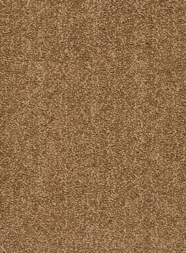 [TEPALAMO4_035] Trend 026 Tapijt ALAMO 400 cm Kleur 35 x 400,0