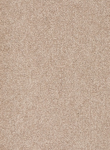 [TEPALAMO4_036] Trend 026 Tapijt ALAMO 400 cm Kleur 36 x 400,0