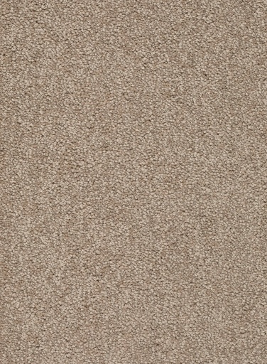 [TEPALAMO4_039] Trend 026 Tapijt ALAMO 400 cm Kleur 39 x 400,0