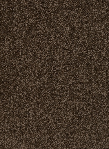 [TEPALAMO4_044] Trend 026 Tapijt ALAMO 400 cm Kleur 44 x 400,0