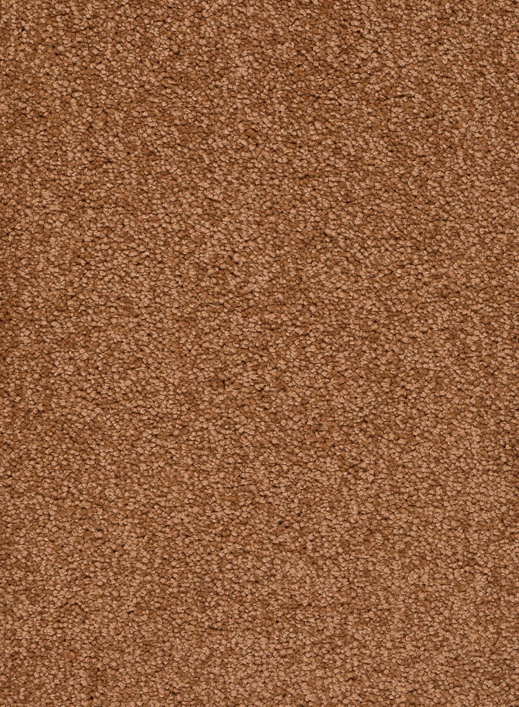 Trend 026 Tapijt ALAMO 400 cm Kleur 84 x 400,0