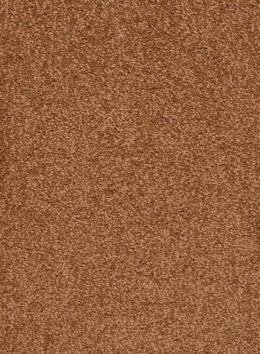 [TEPALAMO4_084] Trend 026 Tapijt ALAMO 400 cm Kleur 84 x 400,0