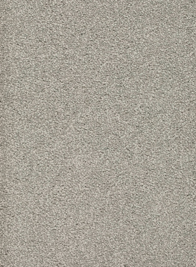 Trend 026 Tapijt ALAMO 400 cm Kleur 90 x 400,0