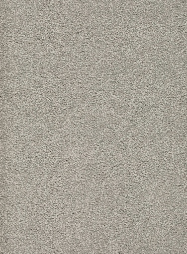 [TEPALAMO4_090] Trend 026 Tapijt ALAMO 400 cm Kleur 90 x 400,0