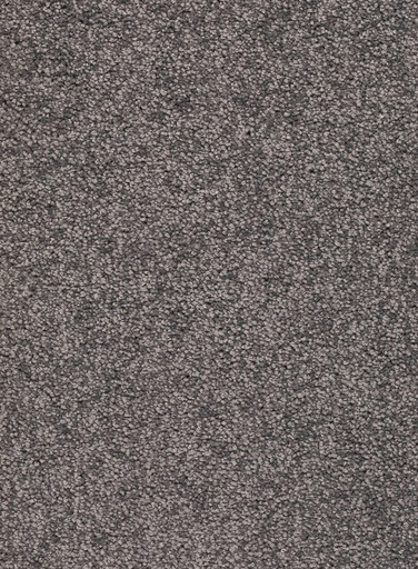 [TEPALAMO4_096] Trend 026 Tapijt ALAMO 400 cm Kleur 96 x 400,0