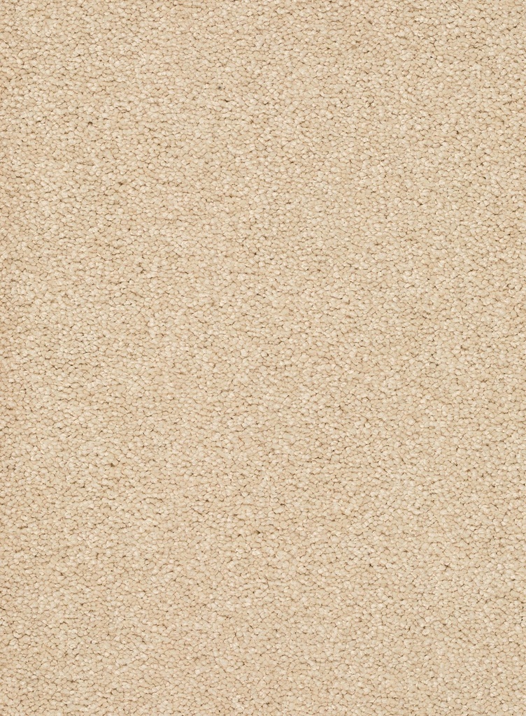 Trend 026 Tapijt ALAMO 500 cm Kleur 03 x 500,0
