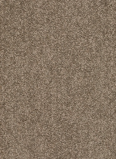 [TEPALAMO5_034] Trend 026 Tapijt ALAMO 500 cm Kleur 34 x 500,0