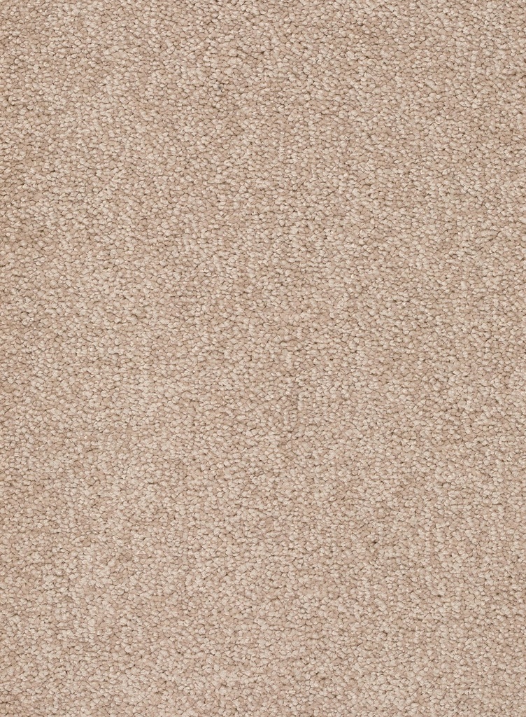 Trend 026 Tapijt ALAMO 500 cm Kleur 36 x 500,0