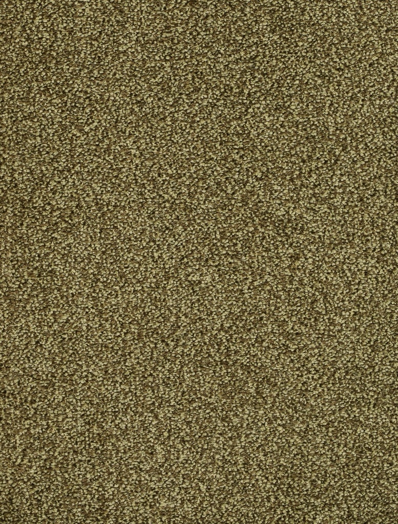 Trend 026 Tapijt DERBY 500cm Kleur 24 x 500,0