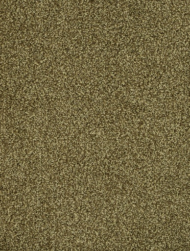 [TEPDERB5_024] Trend 026 Tapijt DERBY 500cm Kleur 24 x 500,0