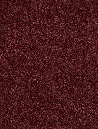 [TEPDERB5_066] Trend 026 Tapijt DERBY 500cm Kleur 66 x 500,0