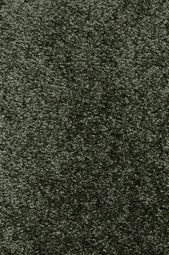 [TEPDOLCE4_027] Trend 026 Tapijt DOLCE 400 cm Kleur 27 x 400,0