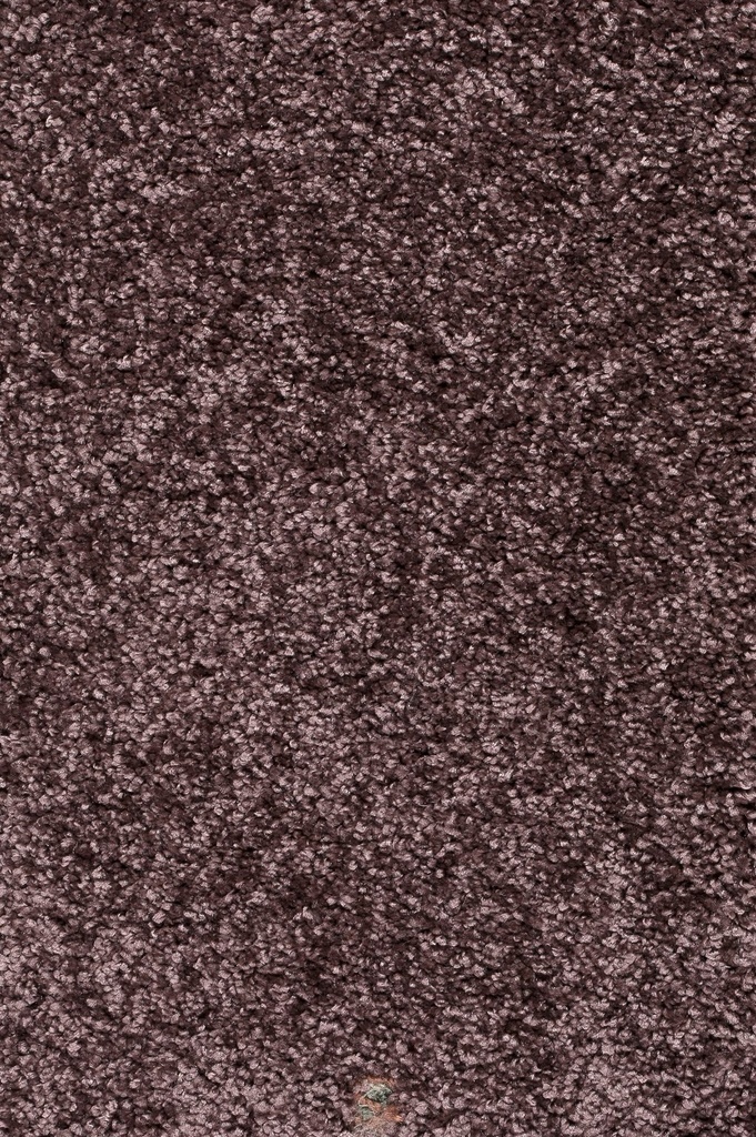 Trend 026 Tapijt DOLCE 400 cm Kleur 41 x 400,0