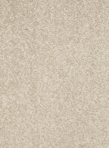 [TEPFEELIN4_003] Trend 026 Tapijt FEELING 400 cm Kleur 03 x 400,0