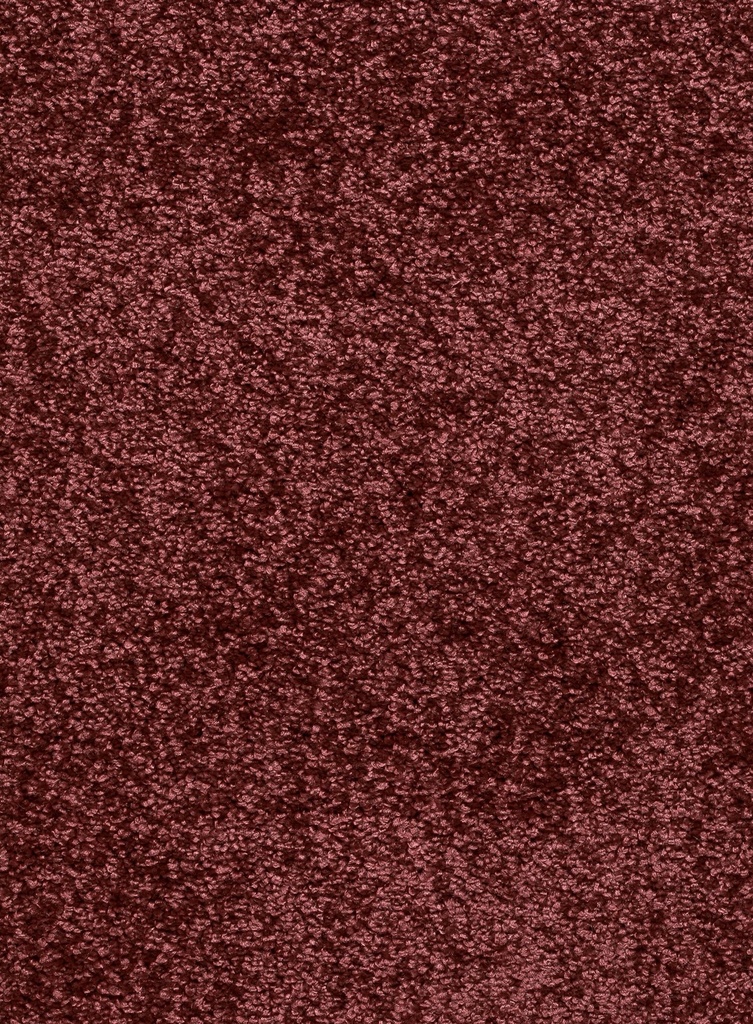Trend 026 Tapijt FEELING 500 cm Kleur 18 x 500,0