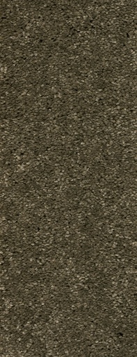 [TEPMONTEG4_240] Trend 026 Tapijt MONTEGO 400 cm Kleur 240 x 400,0