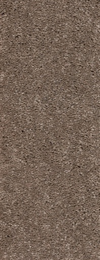 [TEPMONTEG4_274] Trend 026 Tapijt MONTEGO 400 cm Kleur 274 x 400,0