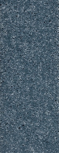 [TEPMONTEG4_081] Trend 026 Tapijt MONTEGO 400 cm Kleur 81 x 400,0