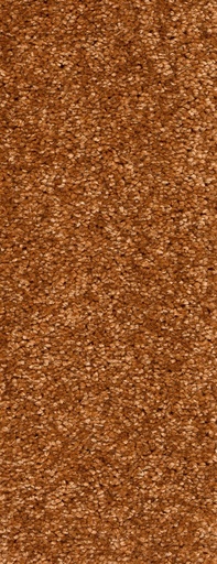 [TEPMONTEG4_096] Trend 026 Tapijt MONTEGO 400 cm Kleur 96 x 400,0