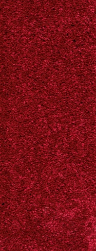 [TEPMONTEG5_020] Trend 026 Tapijt MONTEGO 500 cm Kleur 20 x 500,0