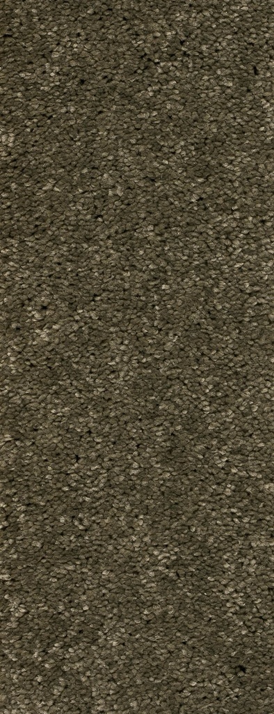Trend 026 Tapijt MONTEGO 500 cm Kleur 240 x 500,0