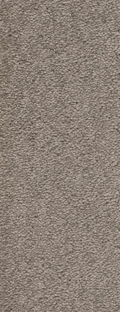 Trend 026 Tapijt MONTEGO 500 cm Kleur 273 x 500,0