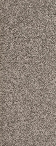 [TEPMONTEG5_273] Trend 026 Tapijt MONTEGO 500 cm Kleur 273 x 500,0