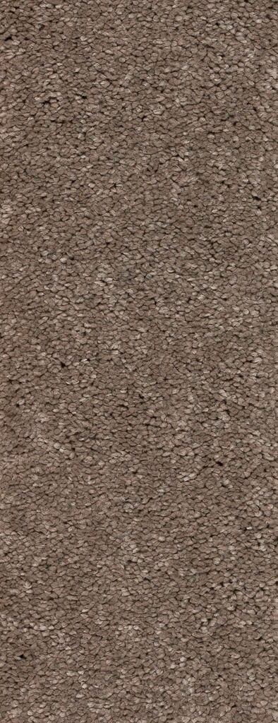 Trend 026 Tapijt MONTEGO 500 cm Kleur 274 x 500,0