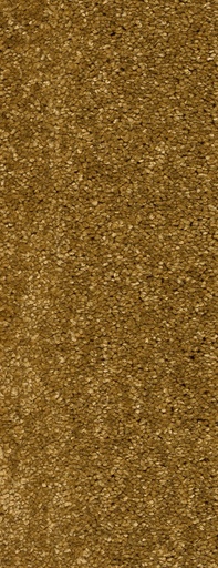[TEPMONTEG5_050] Trend 026 Tapijt MONTEGO 500 cm Kleur 50 x 500,0