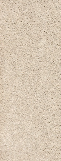 [TEPMONTEG5_069] Trend 026 Tapijt MONTEGO 500 cm Kleur 69 x 500,0