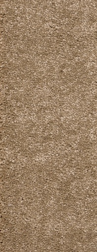 [TEPMONTEG5_072] Trend 026 Tapijt MONTEGO 500 cm Kleur 72 x 500,0