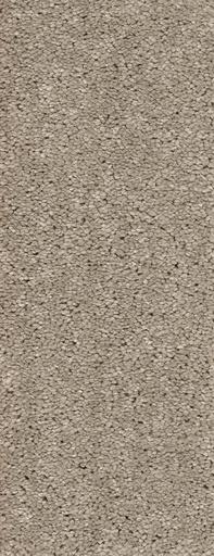 [TEPMONTEG5_074] Trend 026 Tapijt MONTEGO 500 cm Kleur 74 x 500,0
