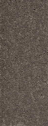 [TEPMONTEG5_079] Trend 026 Tapijt MONTEGO 500 cm Kleur 79 x 500,0