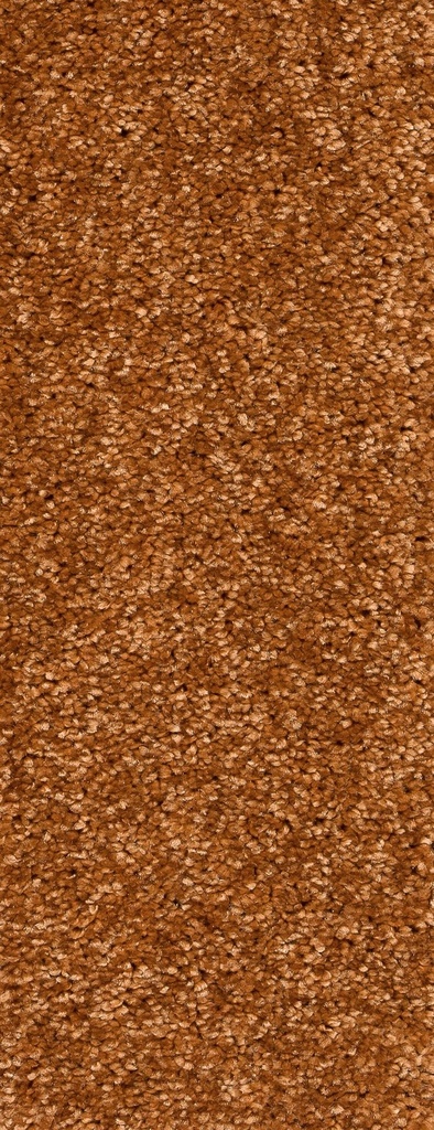 Trend 026 Tapijt MONTEGO 500 cm Kleur 96 x 500,0