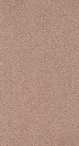 [TEPNOBEL4_012] Trend 026 Tapijt NOBEL 400 cm Kleur 12 x 400,0