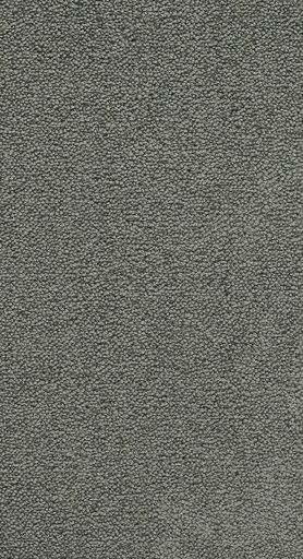 [TEPNOBEL5_476] Trend 026 Tapijt NOBEL 500 cm Kleur 476 x 500,0