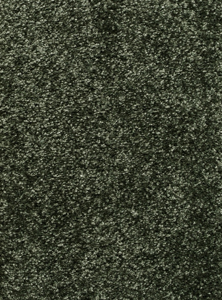 Trend 026 Tapijt RIGOLETTO 400cm Kleur 28 x 400,0