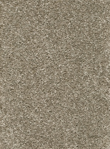 [TEPRIGO4_048] Trend 026 Tapijt RIGOLETTO 400cm Kleur 48 x 400,0