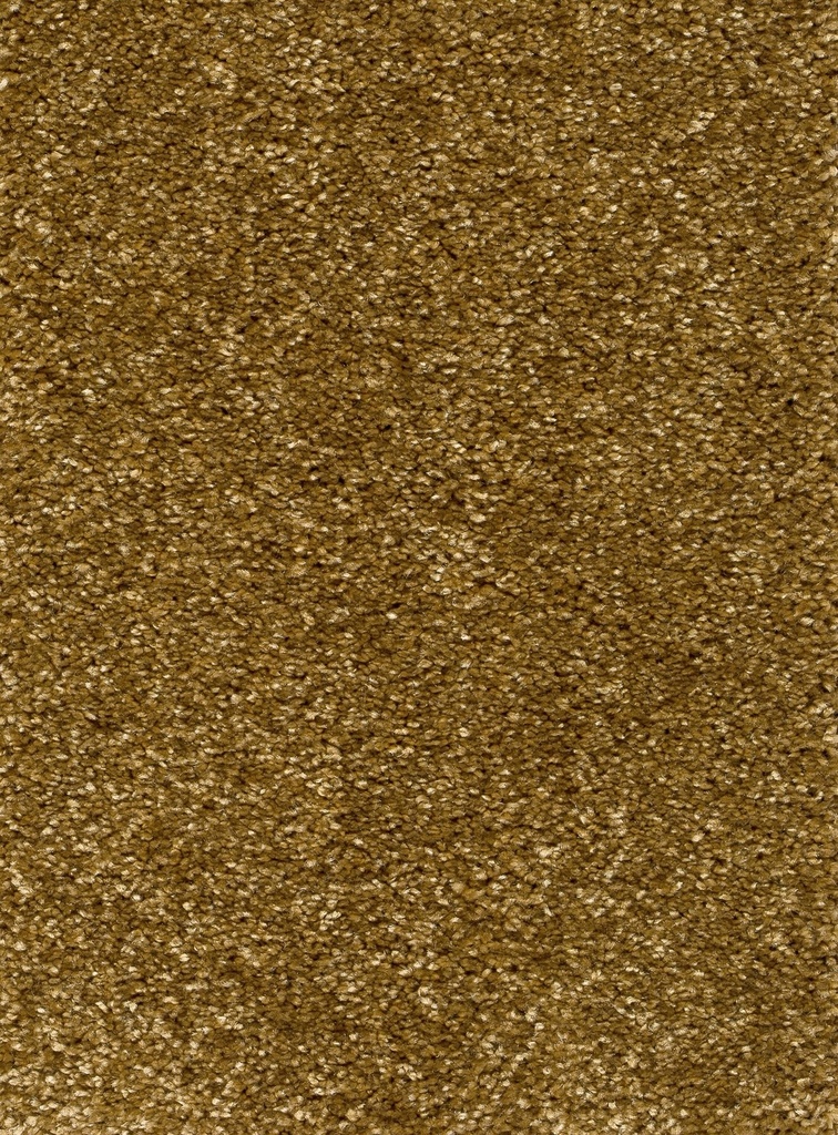 Trend 026 Tapijt RIGOLETTO 400cm Kleur 55 x 400,0