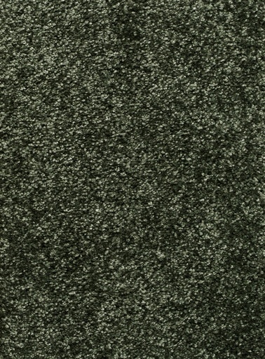 [TEPRIGO5_028] Trend 026 Tapijt RIGOLETTO 500cm Kleur 28 x 500,0