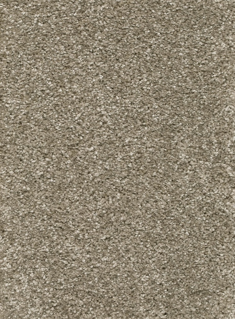 Trend 026 Tapijt RIGOLETTO 500cm Kleur 48 x 500,0