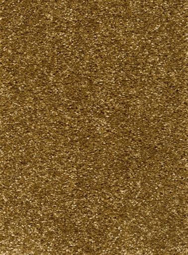 [TEPRIGO5_055] Trend 026 Tapijt RIGOLETTO 500cm Kleur 55 x 500,0