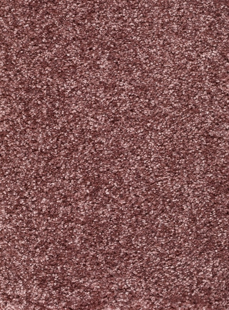 Trend 026 Tapijt RIGOLETTO 500cm Kleur 62 x 500,0